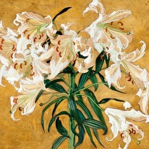 Meet your Posher, Namoliea